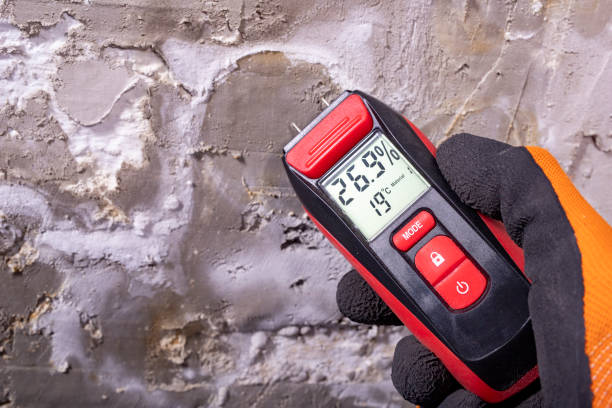 Best Fast Mold Removal  in Alvarado, TX