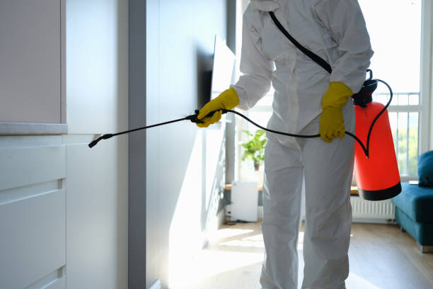 Mold Testing and Removal in Alvarado, TX
