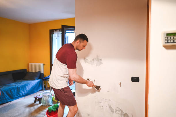 Best Mold Cleaning Services  in Alvarado, TX