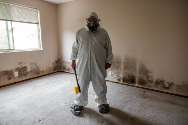Best Black Mold Removal  in Alvarado, TX